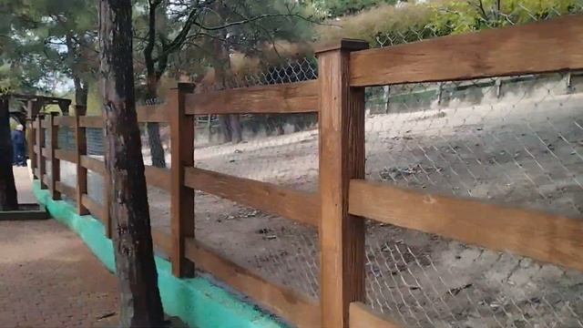 Влог Геленджик (зоопарк канатная дорога и другое) смотреть онлайн