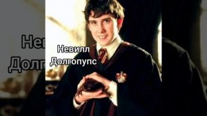 Угадайте персонажа Гарри Поттера по волшебной палочк?