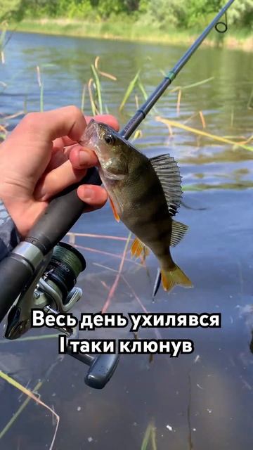 #рибалка #рыбалка #рибалка2023 #fishing #джиг #carpfishing #микродж смотреть онлайн