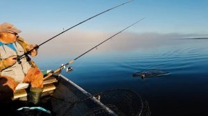 Ловля ХИЩНИКА или ОСЕННИЙ ТРОЛЛИНГ в октябре! #рыбалка