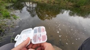 УЛЬТРАЛАЙТ осенью НА МАЛОЙ РЕКЕ. Ловим окуня на силико