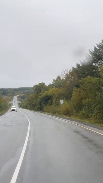 Осенняя поездка #сахалин #сахалин #лес #лето #рыбалка #о смотреть онлайн