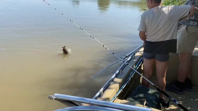 Рыбалка в Маково 10.08.2024 г. Сом на пиявку зелёного червя