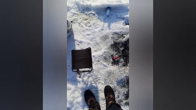 ПЛОТВА загибает кивок смотреть онлайн