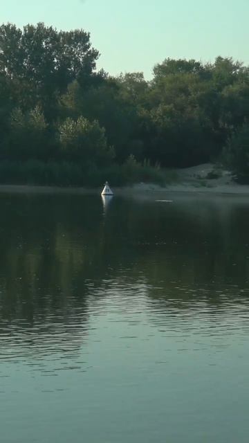 Что то хорошее плеснулось,скорей всего амур🐟🤔#рыбал смотреть онлайн