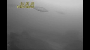 Таватуй. Свердловская область. Зимняя рыбалка на окун?