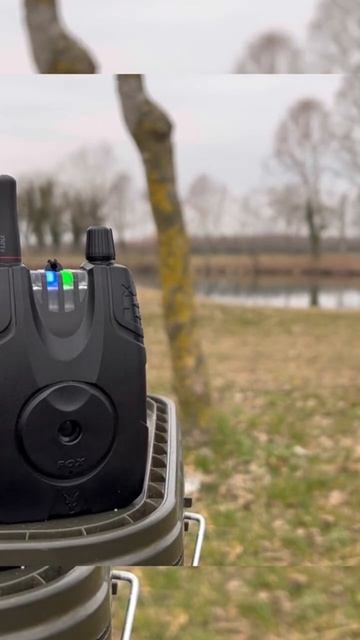 Carp fishing #рибалка #рибалкавукраїні #fishing #carpfishing #ukraine #рыб смотреть онлайн