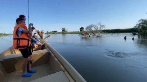 Рыбалка в Маково. 3.08.2024 г.  #маково  #fishing  #каримкарим  #р?