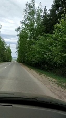 1000066665.mp4
#моцартреквиемпомечте