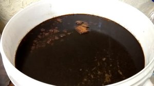 Брожение тростниковой мелассы