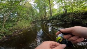 Ловля Форели на спиннинг ПРАВИЛЬНО! ТОП Приманка! Пров