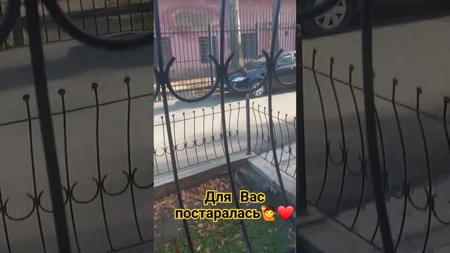 Встреча куев навкаров🥳🥳🥳🥳🥳🥰🙏 смотреть онлайн