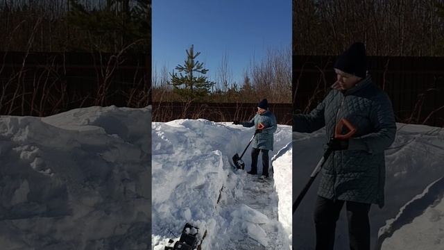 Откопала мои гортензии, а то пока снег растает...  Весна смотреть онлайн