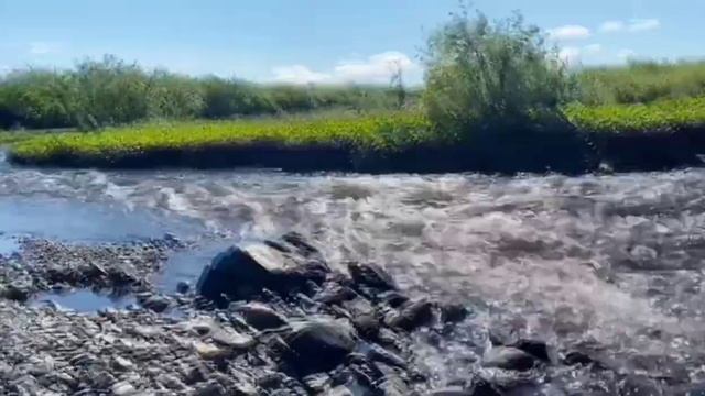 РЕЛАКС ЗВУКИ ПРИРОДЫ И МУЗЫКА ДЛЯ МЕДИТАЦИИ #отдыхнап? смотреть онлайн