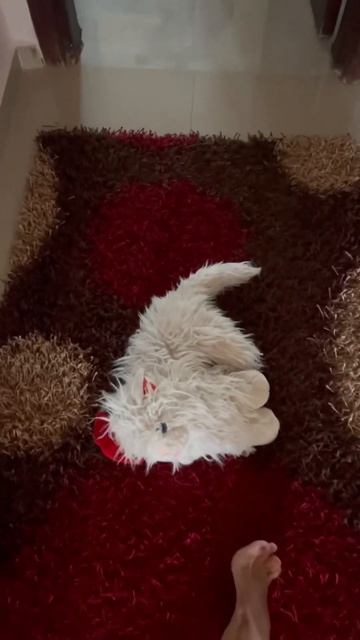 Типичный Российский новый год смотреть онлайн