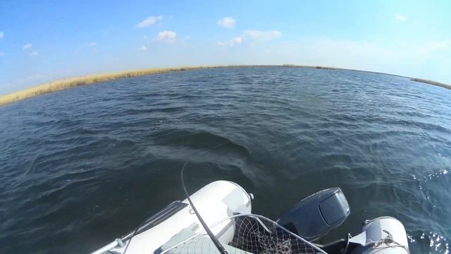 Открытие сезона Март 2024. смотреть онлайн