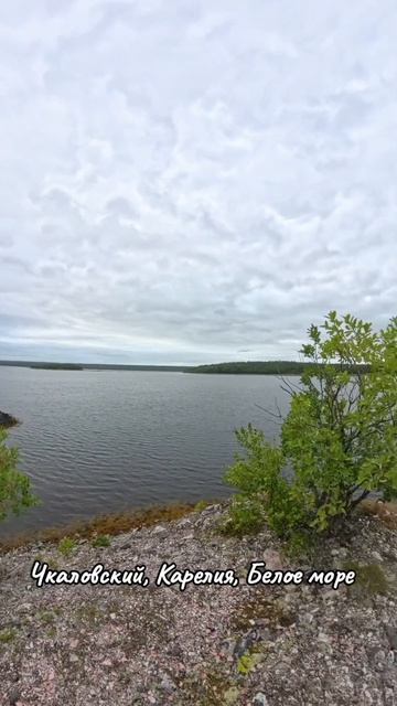 Белое море среди берёз, мрамора и карьеров. Чкаловский смотреть онлайн