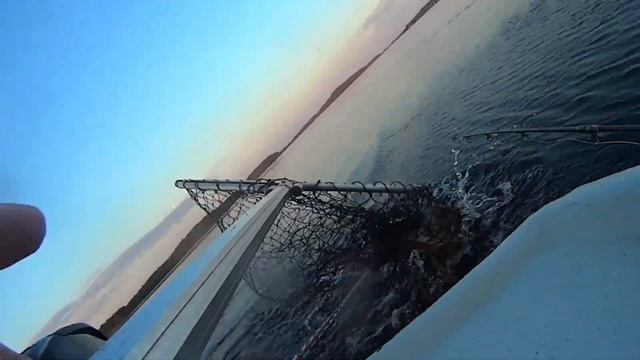 Щучка раскрыла пасть. Скучная рыбалка-троллинг. смотреть онлайн