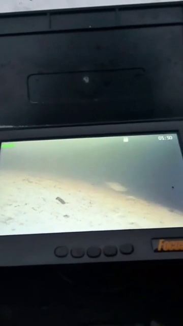 #2025 #2025 #плотва#подводныймир #окунь #fishing #рыба #зимняяры смотреть онлайн