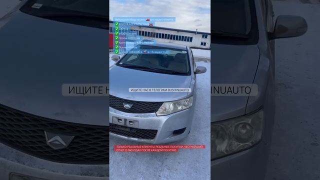 T.Allion из Японии под заказ. Договор, покупка, честный отч