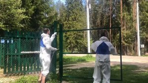 Здрасьте, забор покрасьте