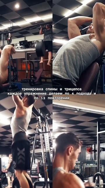 Тренировка спины и трицепса в тренажерном зале смотреть онлайн