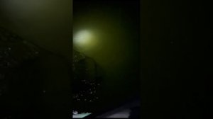 Ночной судак в garmin panoptix