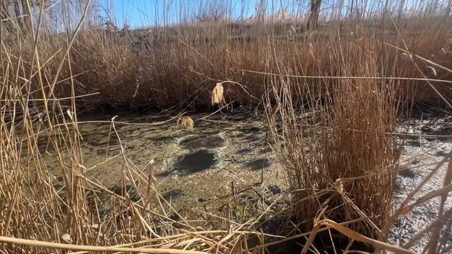 Поплавочка 2025!Первый выезд,первое видео, удача или про смотреть онлайн