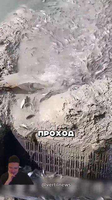 Китайское искусство ловли рыбы смотреть онлайн