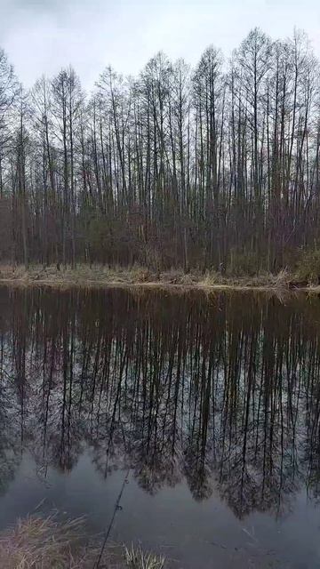 Как хорошо в деревне nature леснойозеро рыбалка весен?
