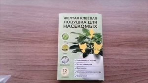 Обзор на семена в мае часть (2)