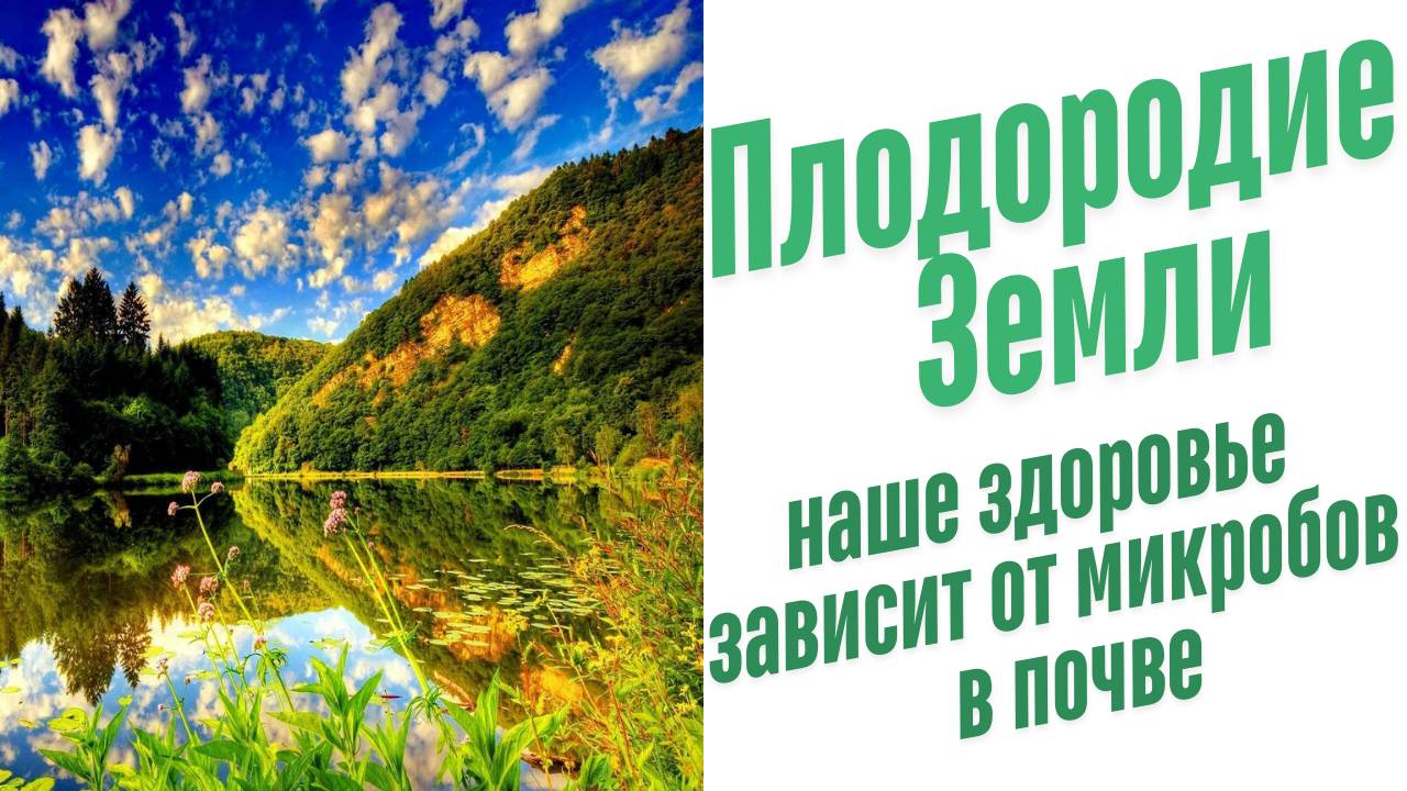От чего зависит здоровье человека?