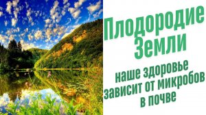 От чего зависит здоровье человека?