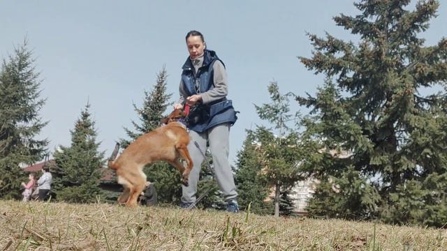 игра удочка смотреть онлайн