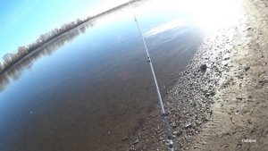 рыбалка на реке Обь осенью. Рыбачу на фидеры