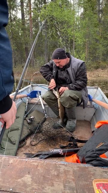 #карелия #рыбалка #лето #oзеро#щука смотреть онлайн