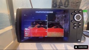 Какой эхолот лучше на морской рыбалке