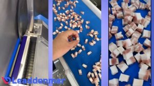 Многофункциональная машина Leaddenmar Meat Slicer L690 нарезка мяса и рыбы