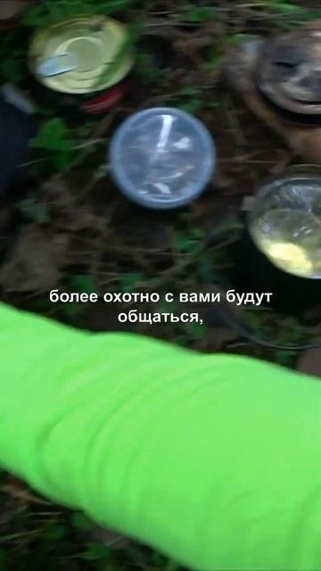 Правила безопасности при походе в лес. Возьми с собой ? смотреть онлайн