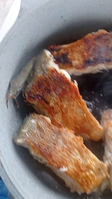 #Красноярск 2024 июль #отдых #Приморск Красноярское #мор? смотреть онлайн