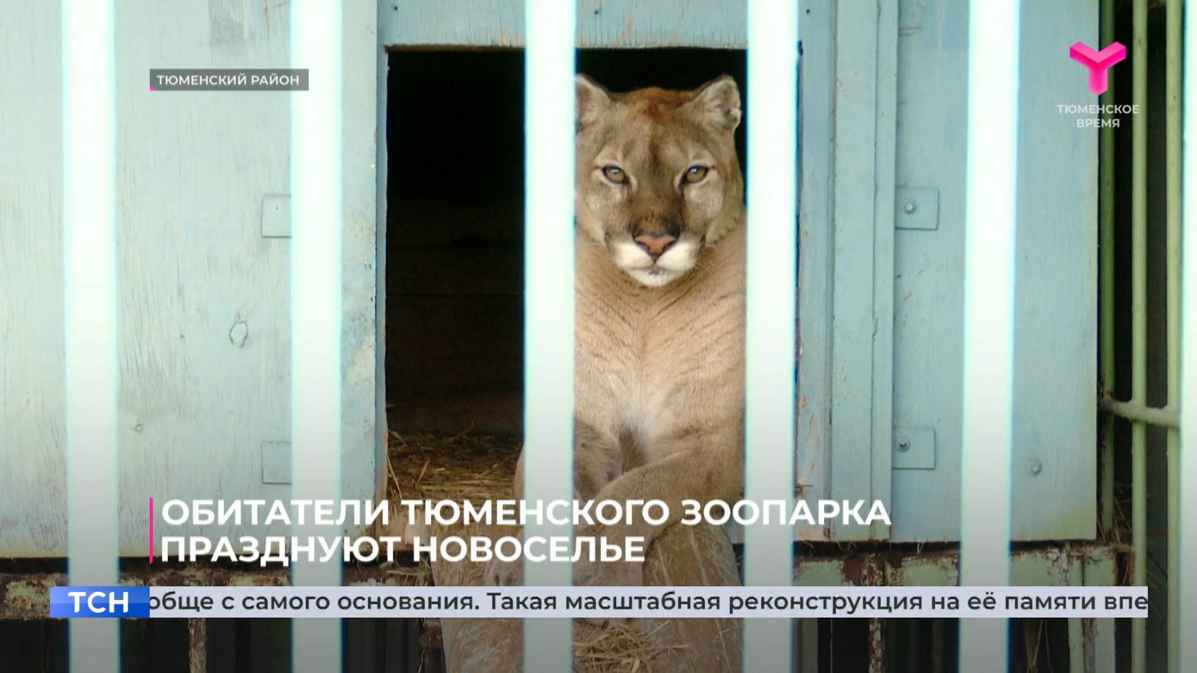Обитатели тюменского зоопарка празднуют новоселье