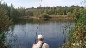 Удилище Mikado princessa, 6 м. Ловля карпа на кукурузу.