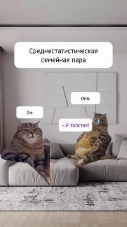 Обычная смейная пара