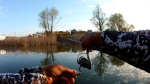 Плотва гнёт спиннинг! Весеннее мормо с Олта Колибри тр