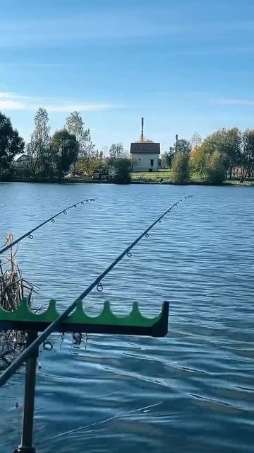 Поклевка карася на фидер #фидер #рыбалка #поклевка #кар смотреть онлайн