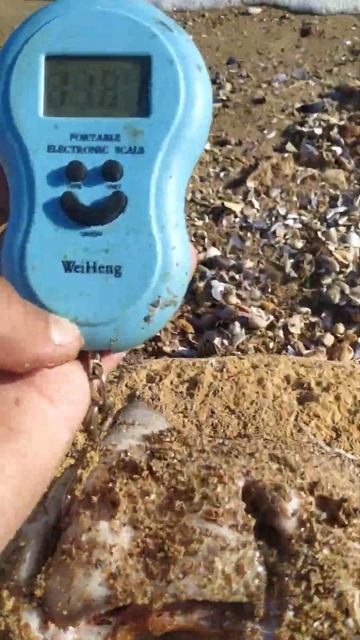 Рыбалка Черное море 2 июля 2024 года скат сегодня самый б смотреть онлайн