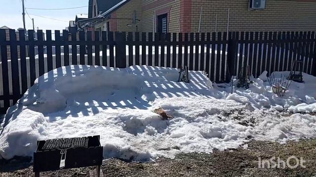 Весна🌷Первый обход сада: есть потери🐭🥴#весна#модны смотреть онлайн