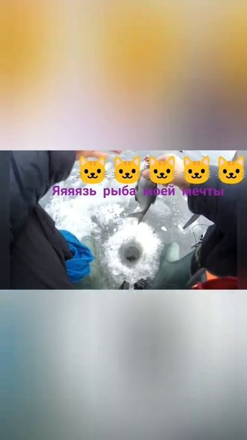 s.v.fishing.shorts.закрытие сезона, смотреть онлайн