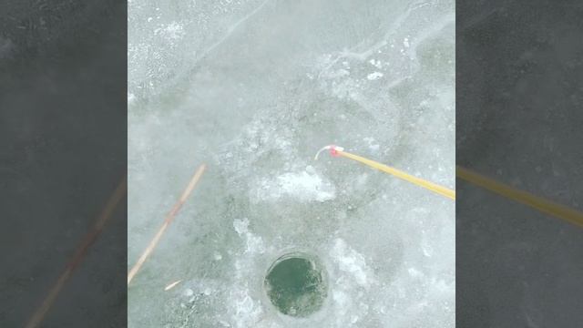 Бузан, окушок ))) смотреть онлайн