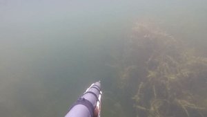 Подводная охота ,весна 2025